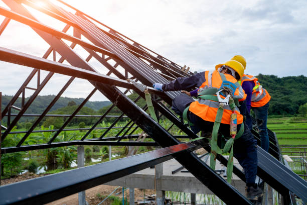 Best Residential Roofing Contractor  in Park River, ND