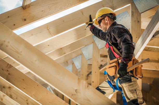 Best Roof Gutter Cleaning  in Park River, ND