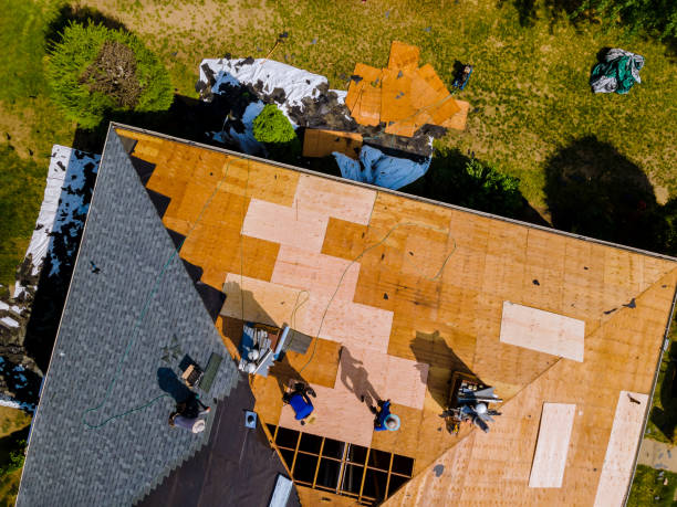 Best Metal Roofing Contractor  in Park River, ND