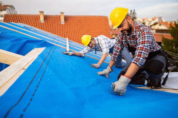 Quick and Trustworthy Emergency Roof Repair Services in Park River, ND