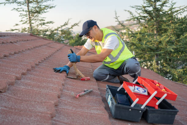 Best Best Roofing Contractors  in Park River, ND