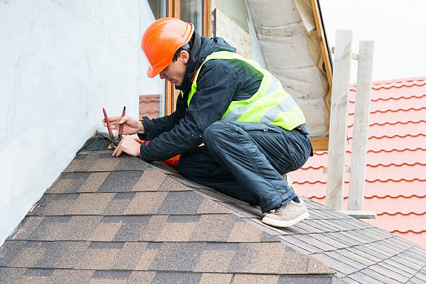 Best Metal Roofing Contractor  in Park River, ND