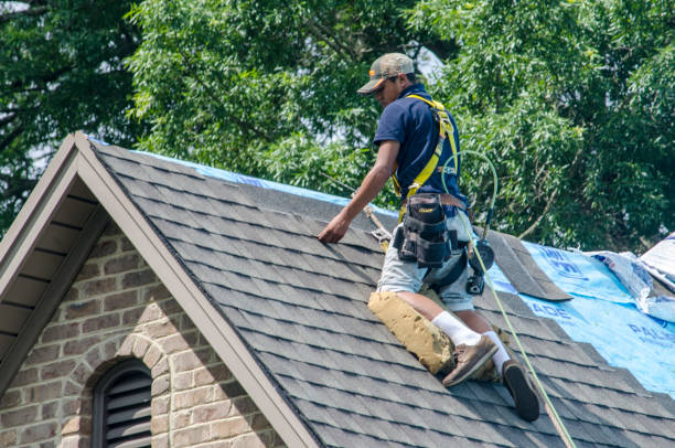 Roof Waterproofing Services in Park River, ND
