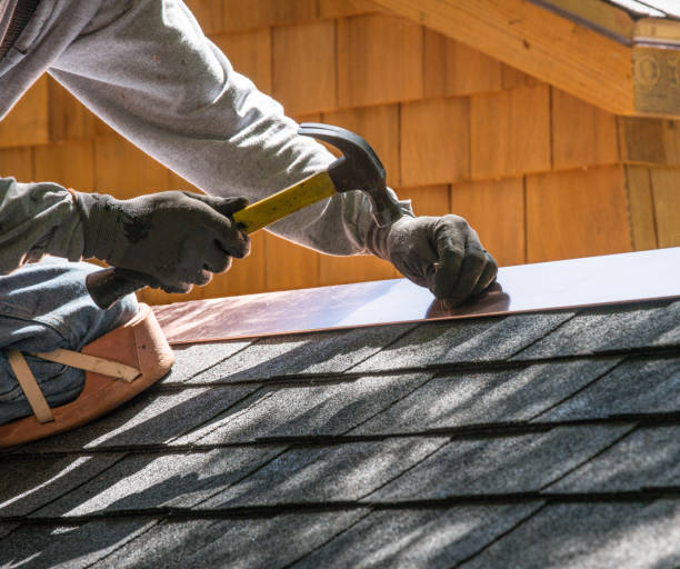 Best Roof Repair Services  in Park River, ND